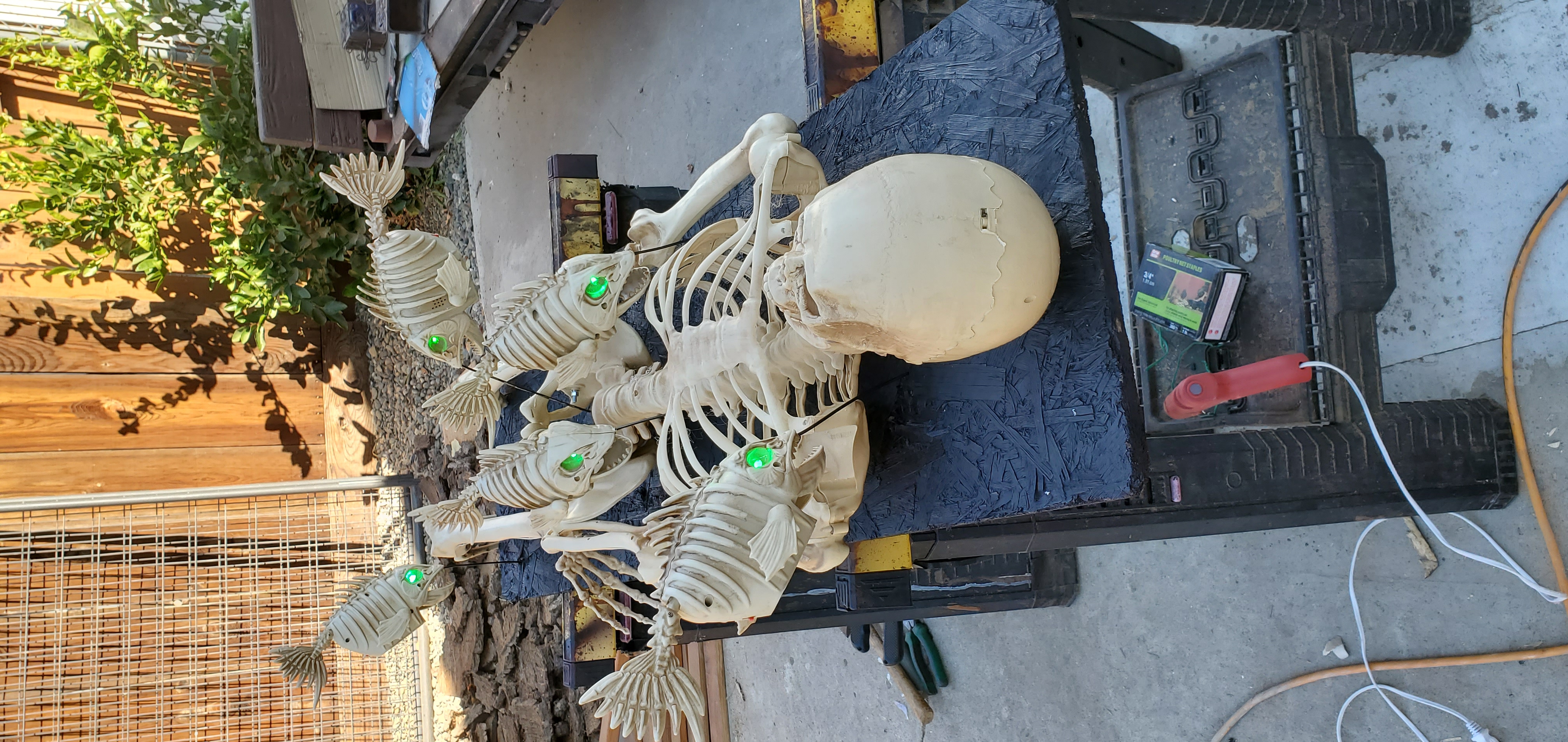 20221029_105952